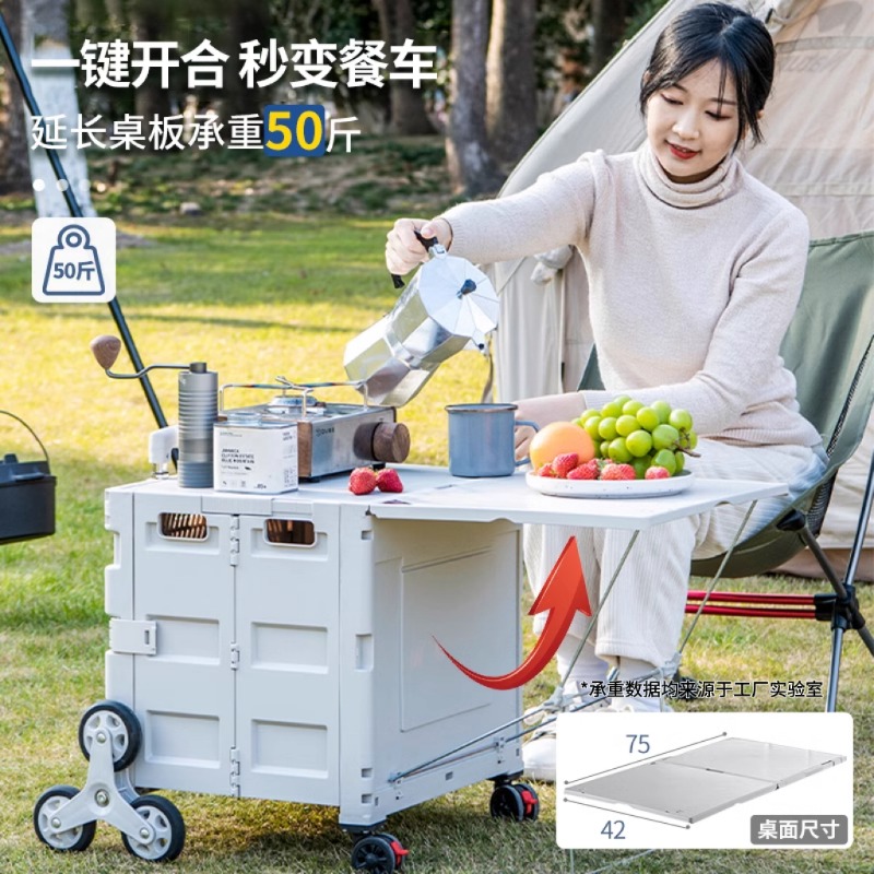 Shopping cart Small trolley Pi - огляд і ціна Outdoor Lighting Expressions